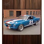 Металлическая табличка Shelby GT350H SCCA B-Production Race Car
